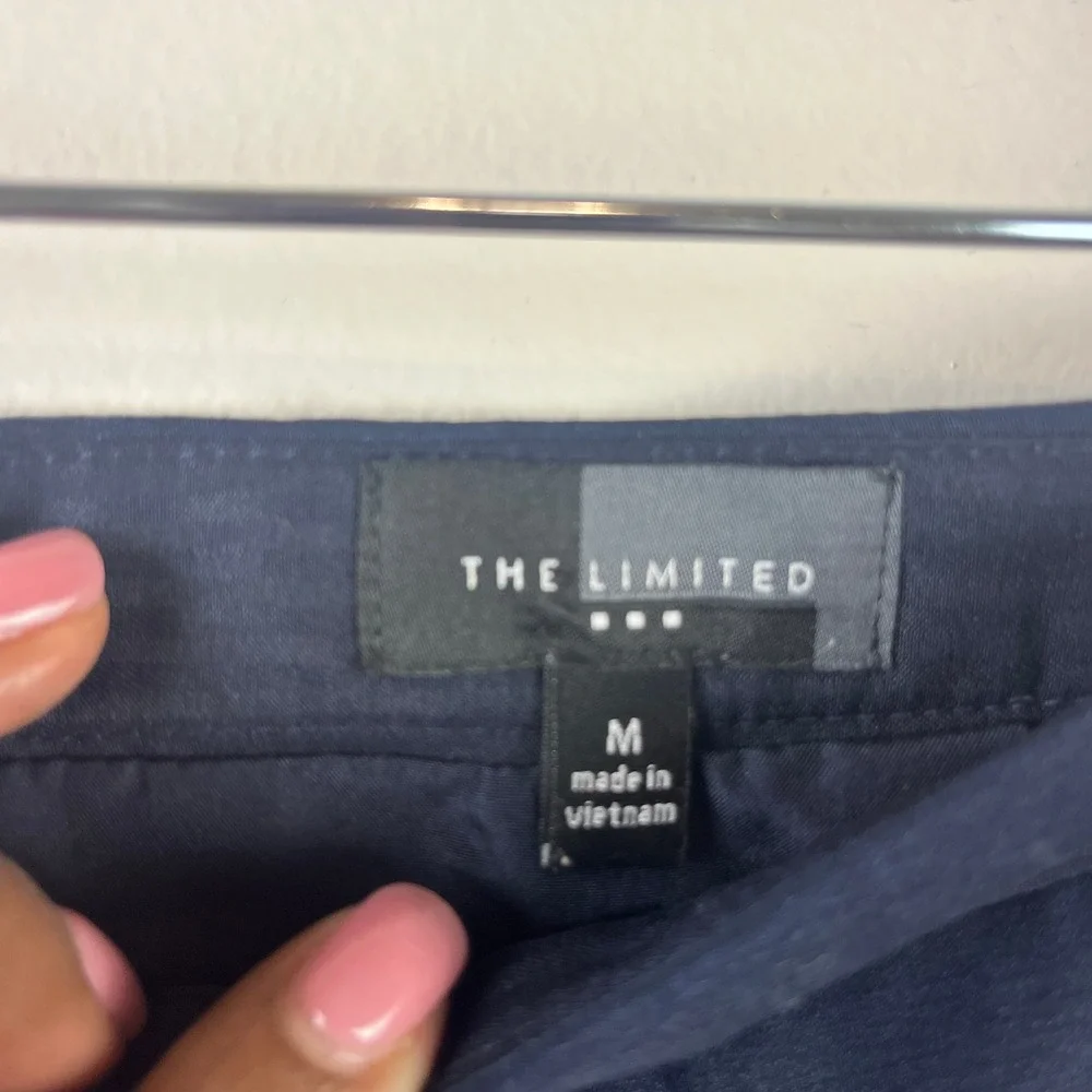 2/$30 The Limited Navy Blue Striped Pleated A-Line Skirt Medium